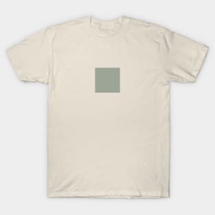 Minimalist pastel green trend decor T-Shirt